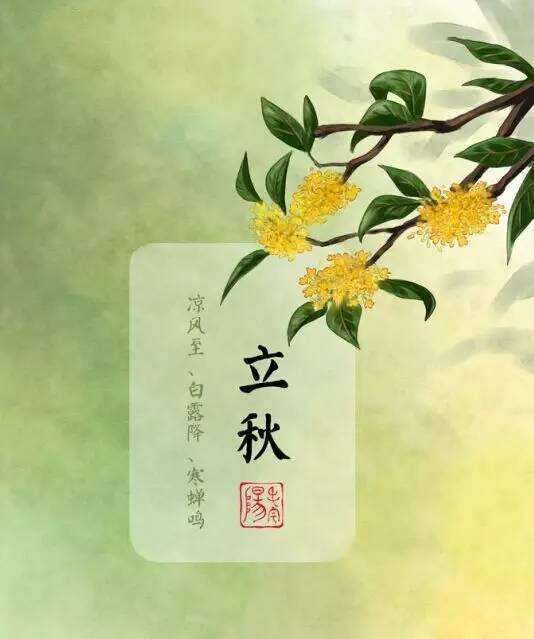 第464页