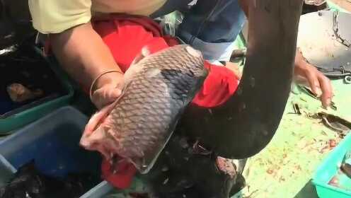 热点生活 第65页