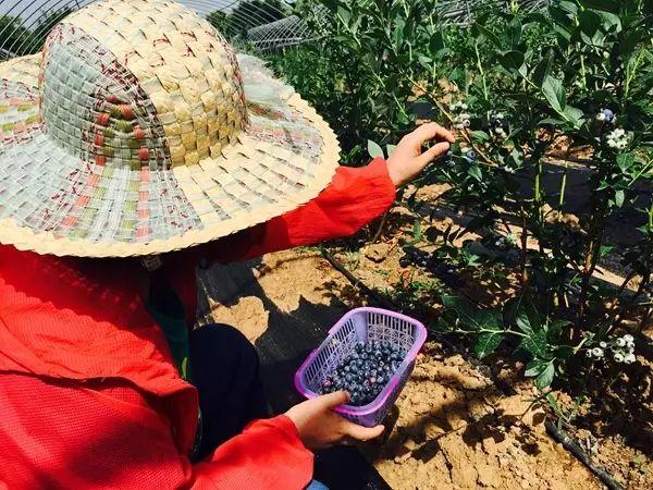 娱乐生活 第25页